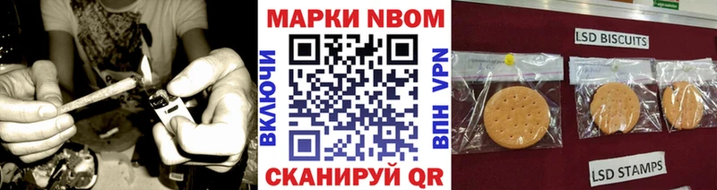 купить наркотики сайты  Чегем  Марки NBOMe 1,5мг 