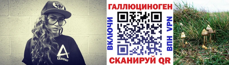 купить наркотики сайты  Чегем  Псилоцибиновые грибы Psilocybe 